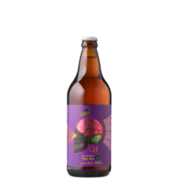 Cerveja Dama Bier QI - American Pale Ale 600ml