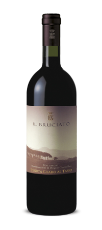 Vinho Il Bruciato Tinto