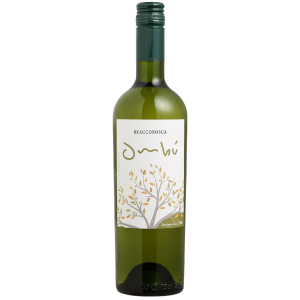Vinho Ombu Sauvignon Blanc 750ml
