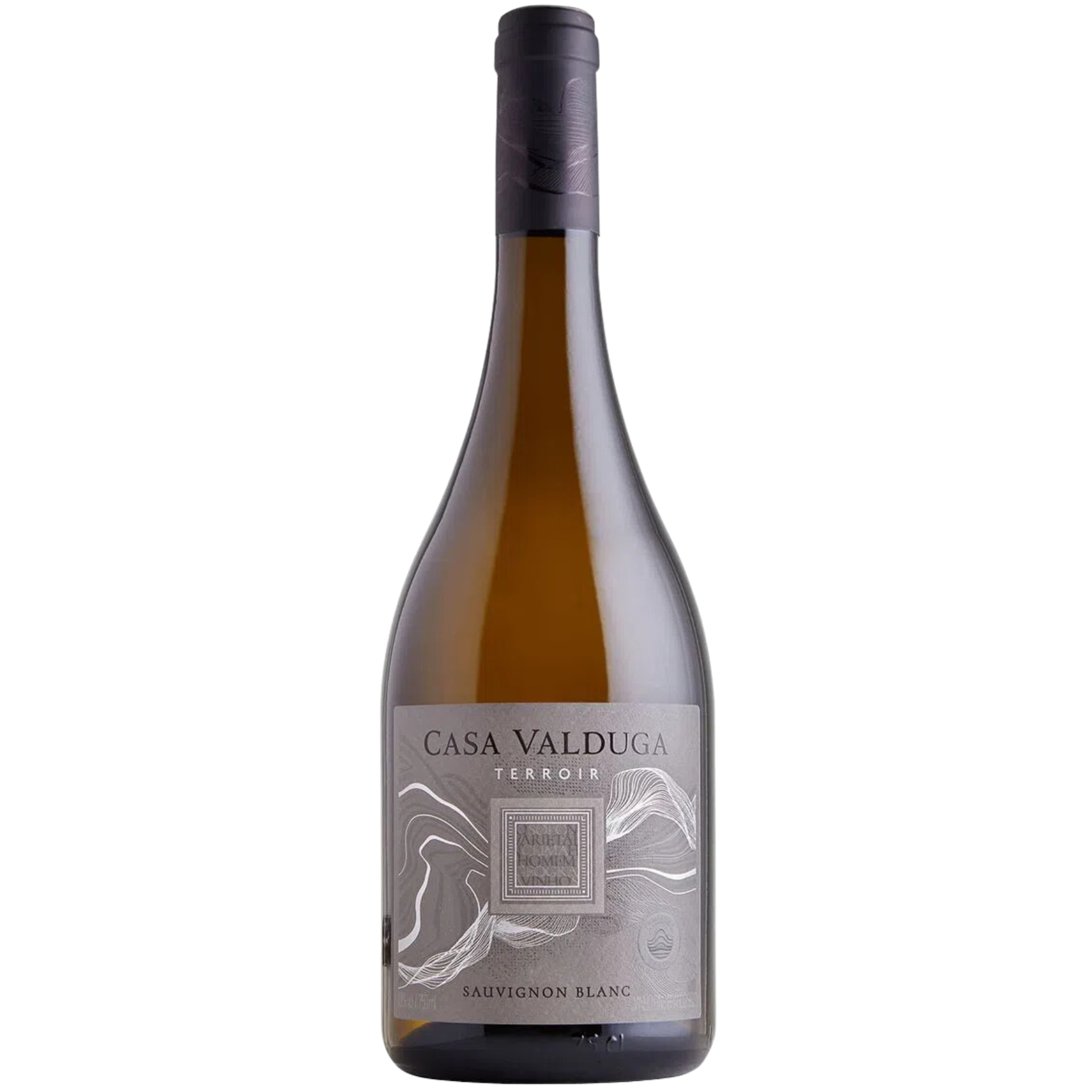 Vinho Casa Valduga Raizes Sauvignon Blanc 750ml
