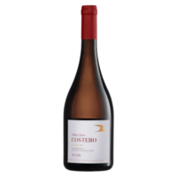 Vinho Mario Geisse Costero Pinot Noir 750ml