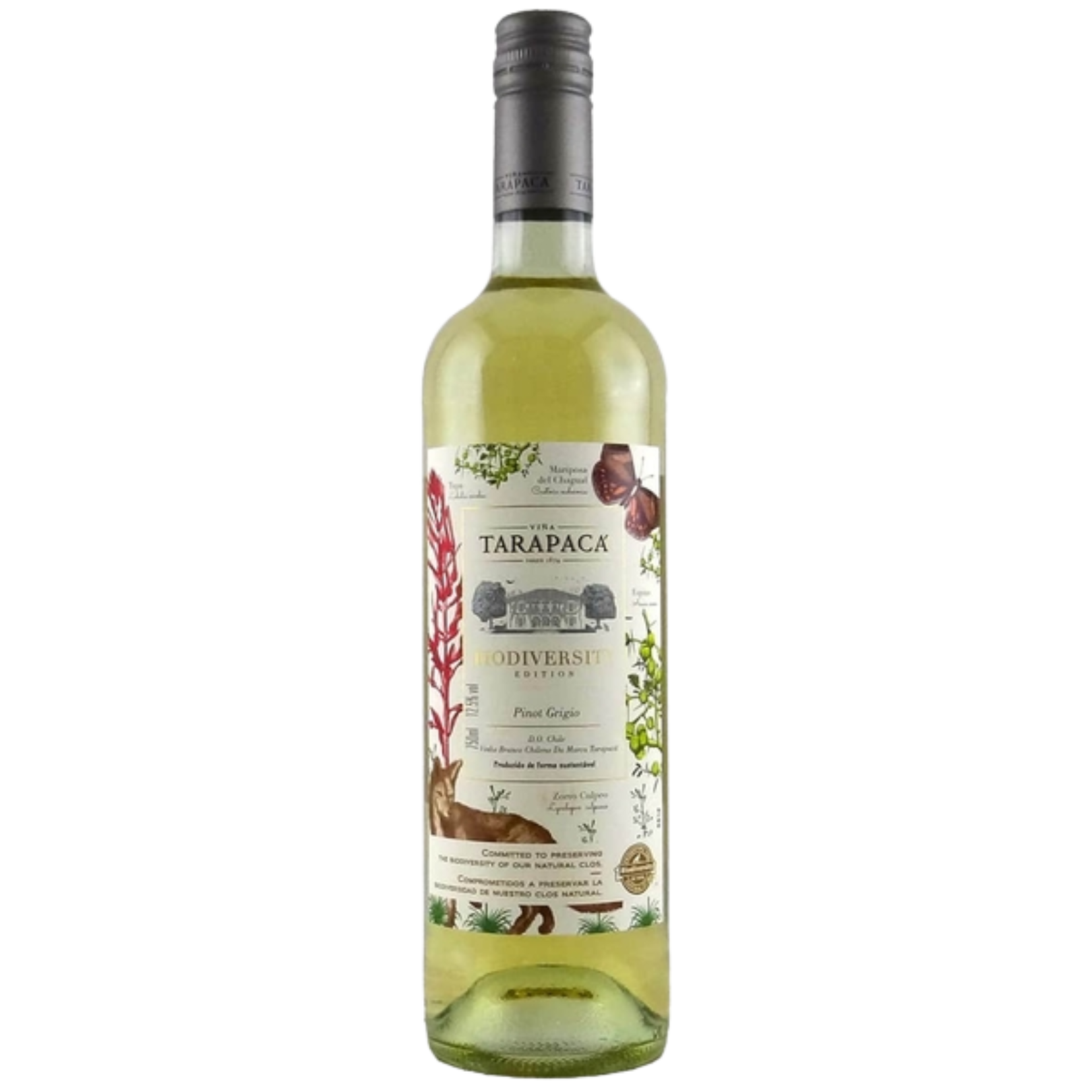 Vinho Tarapaca Biodiversity Pinot Grigio 750ml