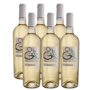 Caixa 6 Vinho Esperanto Pinot Grigio 750ml