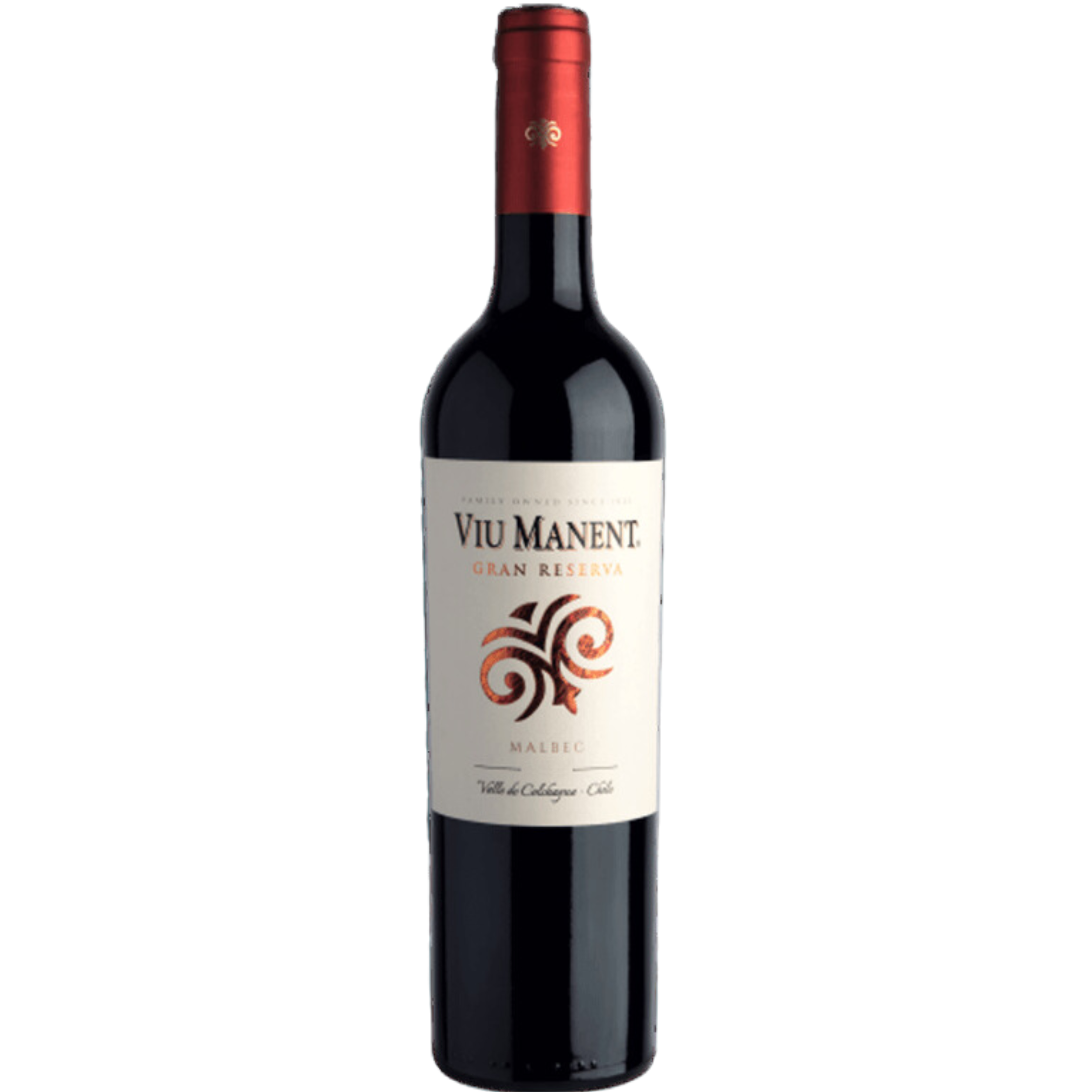 Vinho Viu Manent Gran Reserva Malbec 750ml