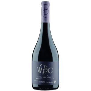 Vinho Viu Manent Vibo Punta Del Viento 750ml