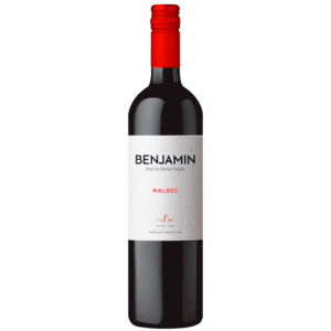 Vinho Benjamin Nieto Malbec 750ml