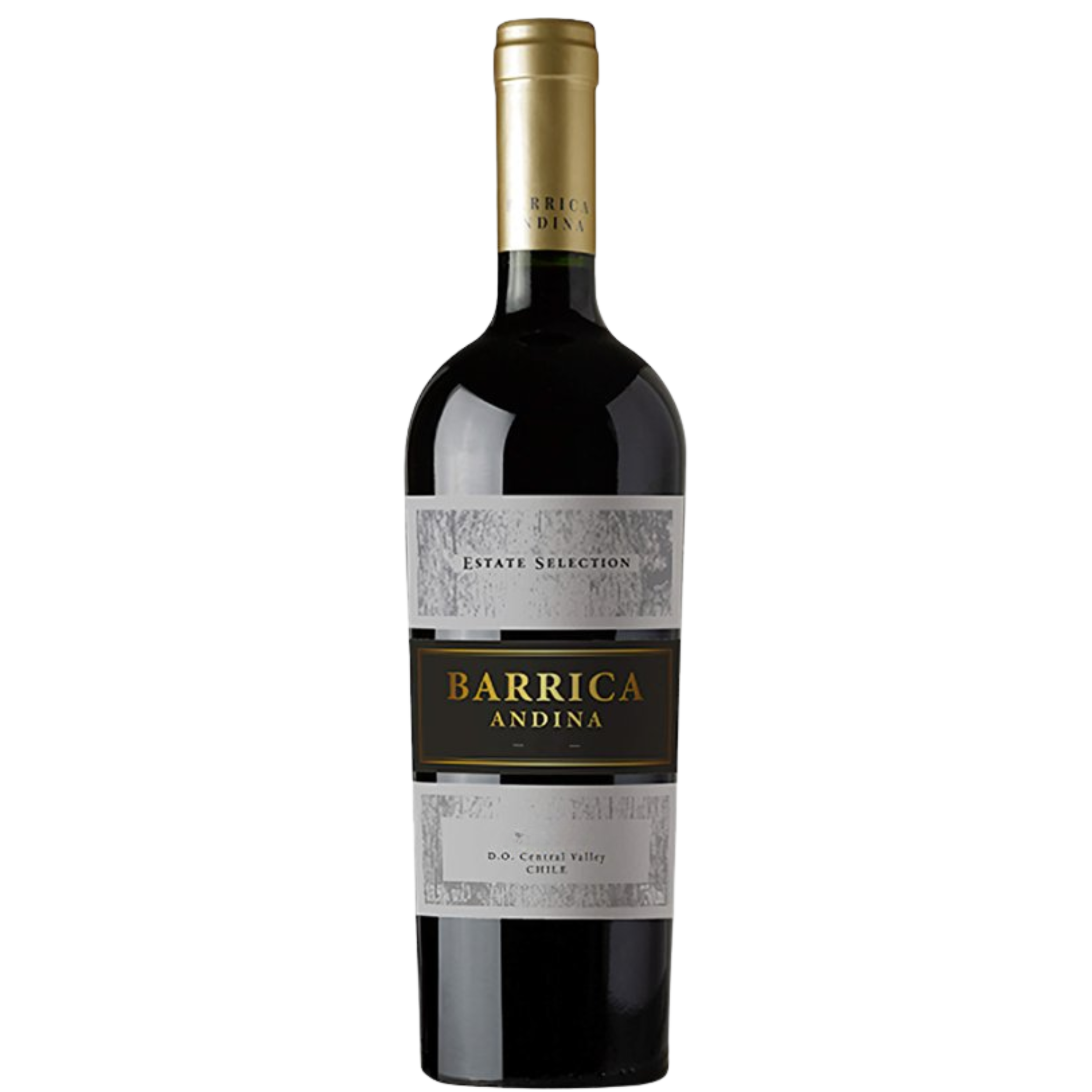 Vinho Barrica Andina Estate Selection Syrah 750ml