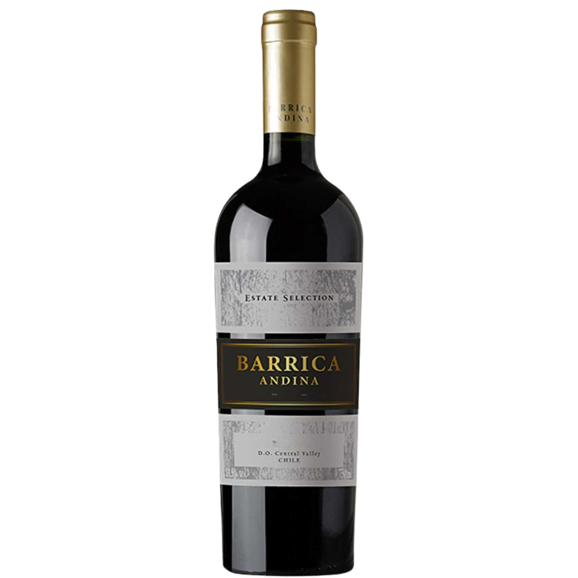Vinho Barrica Andina Estate Selection Syrah 750ml